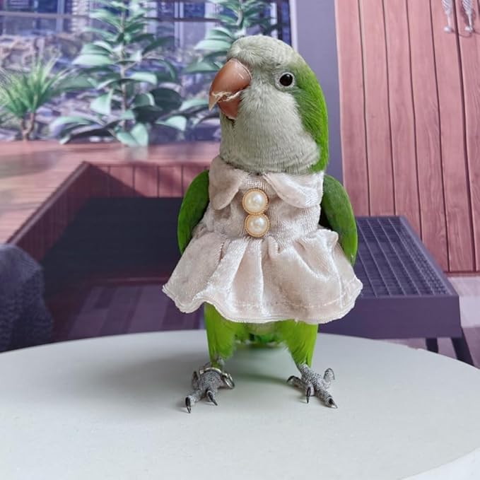 Bird Costume Bird Diaper Flight Suit Parrot Velvet Fleece Skirt Clothes Cosplay Photo Prop for Conure Lovebird Parakeet Cockatiel Macaw Small Animals Apparel (White,Sulphur-Crested Cockatoo)