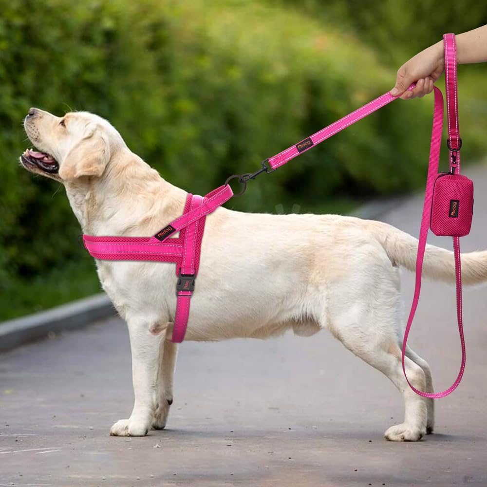 Didog No Pull Dog Harness with Soft Mesh Padded,Reflective & Quick Fit Light Weight Dog Strap Vest Harness,Easy for Walking Training (L:Chest 26-32", Mesh-Hot Pink)