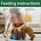 Nature's Protection Dry Dog Food for Small Breed - High Protein, Grain Free, Tear Stain Formula - Dog Kibble for Puppy & Adult Dogs with Red Fur (Superior Care - Salmon, 22 lb)
