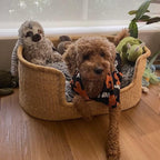 Handwoven Dog Bed – Woven Baskets for Gifts – Small to XXL Empty Dog Basket and Dog Toy Bin – Large Storage Basket for Dogs and Toys – Elegance and Decorative Basket for Your Pet (Natural, XX-Large)