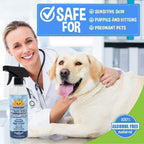 Bodhi Dog Waterless Shampoo. Everyday comfort that fits naturally into your space.