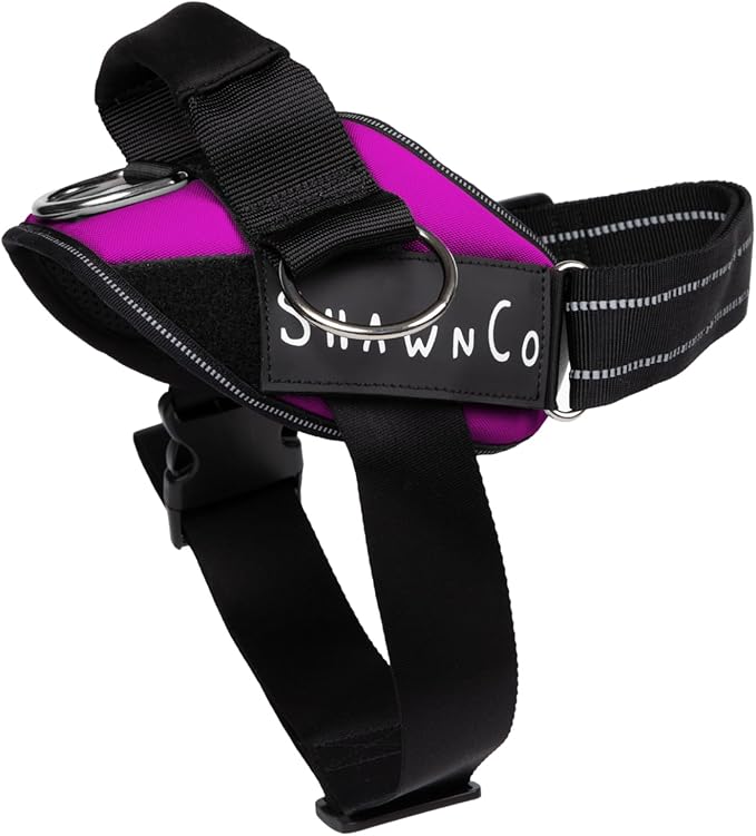 ShawnCo Essential Pro Dog Harness, No-Pull Pet Vest with 3 Leash Clips and Removable, Reflective Side Patches, Adjustable and Padded Harness for Small, Medium and Large Dogs (Orchid, S)