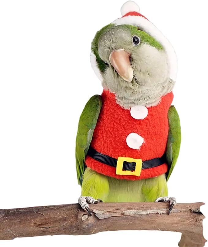 Bird Clothes Birds Flight Suit, Christmas Hoodie for Parrots Cockatiel Sun Conure Christmas Party Cosplay Photo Prop Bird Shirt Small Animals Apparel (Without Diaper,Caique)