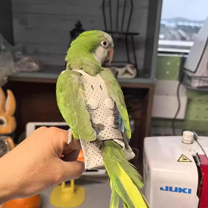 Premium Genuine Cowhide Bird Flight Harness Anti Bite Breathable Parrot Diaper Parrot Suit with Leash for Parakeet Conure Quaker Flying Clothes Rope and Handle (Without Leash,Macaw)