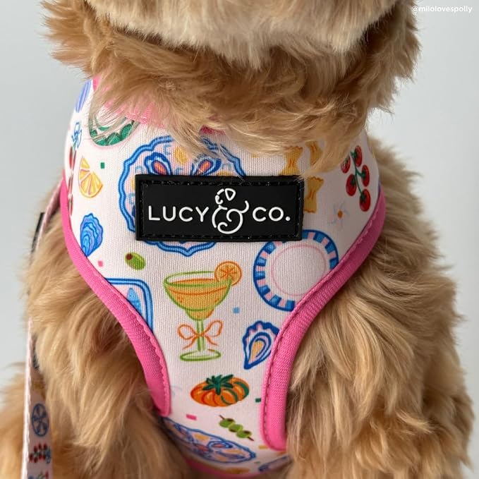 Lucy & Co. Dolce Vita Reversible Dog Harness, Adjustable Comfort Fit with Dual Leash Attachments, Medium