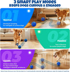 Dog Balls: Interactive Dog Ball Auto Rolling - Interactive Dog Toys for Aggressive Chewers - Bouncy & Throwable, Type-C Rechargeable, Washable, for Small & Medium & Large Dogs – Blue