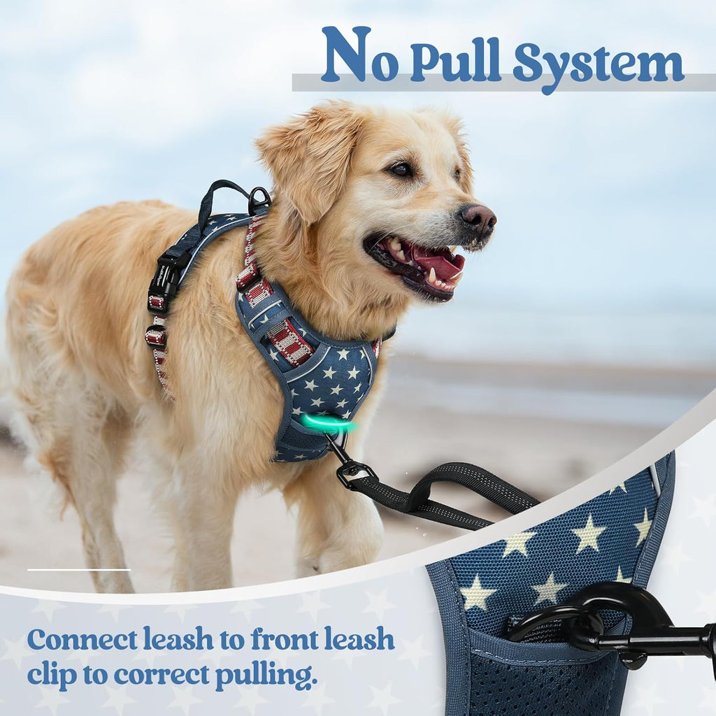 rabbitgoo Dog Harness No Pull with 2 Leash Clips, Adjustable Soft Padded, Reflective Oxford No Choke Pet Vest with Easy Control Handle for Large Dogs, Blue Star, S