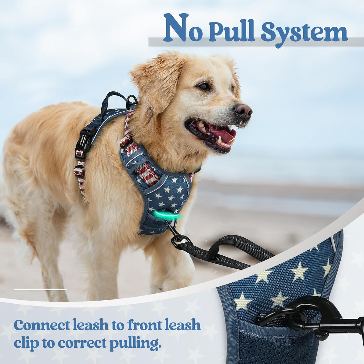 rabbitgoo Dog Harness No Pull with 2 Leash Clips, Adjustable Soft Padded, Reflective Oxford No Choke Pet Vest with Easy Control Handle for Large Dogs, Blue Star, S