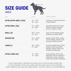 Dog Friendly Co. Dog Harness for Large Dogs (Sky Blue, Large) | One Click Buckle, Chafe Resistant Webbing, Adjustable Neck & Chest, and Heavy Duty D-Ring, Sturdy Comfortable and Easy to Use