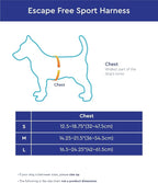 Gooby Escape Free Sport Dog Harness, Choke-Free, Turquoise, Small | Patented escape-free frame; Reduces choking; 4-point adjustment; Soft neoprene padding; Durable webbed straps