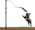 FXW TugPal Flex Outdoor Tug of War Toy for Dog,Interactive Exercise Game with Spring-Top Rod for Yard,39 inch for Small Dogs up to 20 lbs| Safe Design & Rustproof Base,│Patent Pending