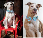 Unique style paws Christmas Dog Collar with Bow Tie Red Elk Cotton Collar Adjustable Puppy Collar for Small Medium Large Dogs-S