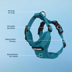 Voyager Step-in Pet Harness - All Weather Mesh, Adjustable Step in Harness for Cats and Dogs by Best Pet Supplies - Turquoise, L