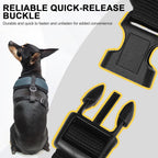BINGPET Small Dog Harness - Breathable Mesh Puppy Cat Harnesses - No Pull Adjustable Dog Harness Dog Vest Harness for Small and Medium Dogs