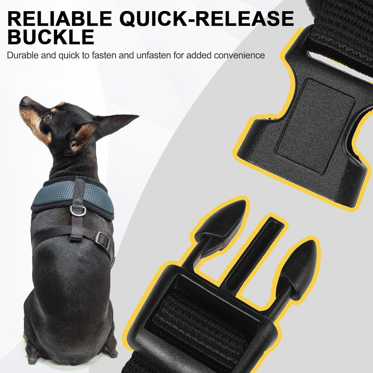 BINGPET Small Dog Harness - Breathable Mesh Puppy Cat Harnesses - No Pull Adjustable Dog Harness Dog Vest Harness for Small and Medium Dogs