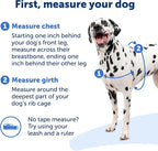 PetSafe Easy Walk Harness for Dogs - Pull-Free Walks - Patented Martingale Loop Design - Front Chest Leash Attachment - Comfort Straps - Breathable Harness Design - Large, Charcoal/Black(Pack of 3)