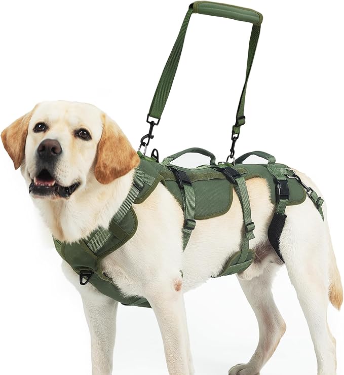 PUPTECK Dog Lift Harness for Medium Large Sized Dog, Rehabilitation Sling for Hind Leg Support, Multifunctional Mobility Assistance Harness for Old, Disabled, Joint Injuries, Paralysis Dogs, Green M