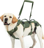 PUPTECK Dog Lift Harness for Medium Large Sized Dog, Rehabilitation Sling for Hind Leg Support, Multifunctional Mobility Assistance Harness for Old, Disabled, Joint Injuries, Paralysis Dogs, Green M