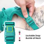 No Pull Dog Harness, Puppy Vest with Front Clip for Small Medium Large Sized Dog(MARRS Green,M)