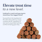 Honest Paws Dog Jerky Treats - All-Natural Jerky Dog Treats for Training Pets - Human Grade Bites - Real USA Beef
