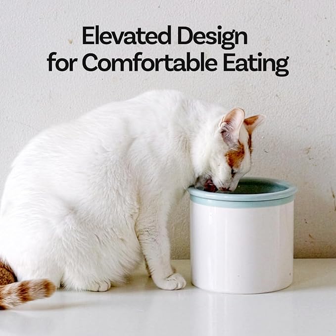 Hello Bowl Elevated Ceramic Cat Bowl with Stand, Raised Whisker-Friendly Feeding Bowl for Cats & Small Dogs, Patented Design, Made in Korea (5.9" H - Pink, Square/Dry)