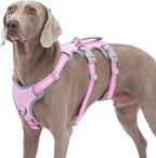 Escape Proof Dog Harness, No Pull Reflective Harness with Lift Handle, Adjustable Pet Vest with Front and Back Leash Clips for Small Medium Large Dogs Walking Hiking Training (Pink,XL)