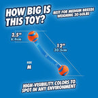 Chuckit! Ultra Duo Tug Dog Toy - Two Ultra Balls on a Durable Nylon Cord Handle - Fetch and Tug-of-War Toy for Dogs - Size Medium - For Breeds 20-60 lbs - 2.5-inch Diameter - Orange and Blue