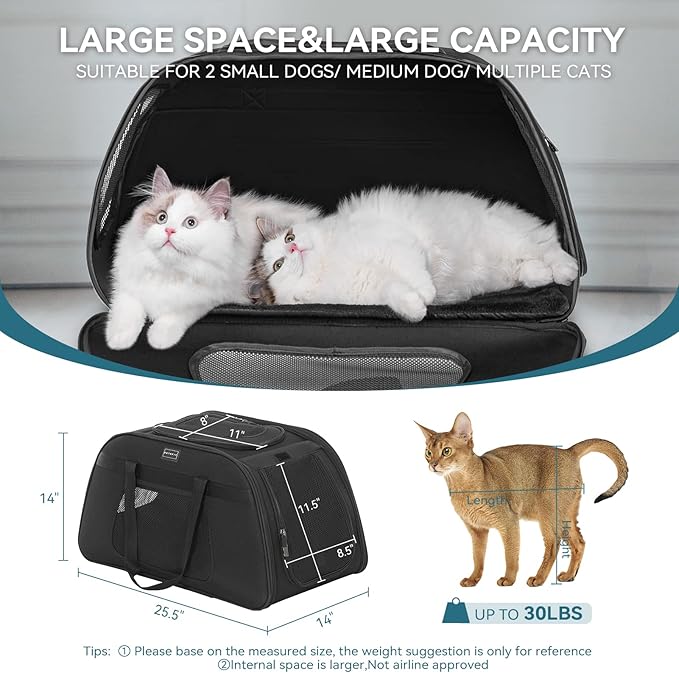 PETSFIT Extra Large Pet Carrier with Wheels- Rolling Dog Carrier for 2 Small Dogs, Large Cat Carrier on Wheels with Adjustable Safety Rope & Waterproof Bottom (𝑵𝒐𝒕 𝑨𝒊𝒓𝒍𝒊𝒏𝒆 𝑨𝒑𝒑𝒓𝒐𝒗𝒆𝒅)