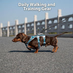 Escape Proof Dog Harness, No Pull Reflective Harness with Lift Handle, Adjustable Pet Vest with Front and Back Leash Clips for Small Medium Large Dogs Walking Hiking Training (Teal,XL)