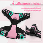 rabbitgoo Dog Harness No Pull with 2 Leash Clips, Adjustable Soft Padded, Reflective Oxford No Choke Pet Vest with Easy Control Handle for Small Dogs, Pink, S