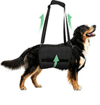 Adjustable Dog Lift Harness, Dog Carry Sling Provides Rear Leg Support for Senior Dogs, Arthritis and After ACL Surgery Dogs,Suitable for Medium to Large Dogs,Black XXL