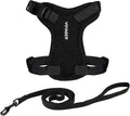 Voyager Step-in Lock Adjustable Cat Harness w. Cat Leash Combo Set with Neoprene Handle 5ft - Supports Small, Medium and Large Breed Cats by Best Pet Supplies - Black, XXS