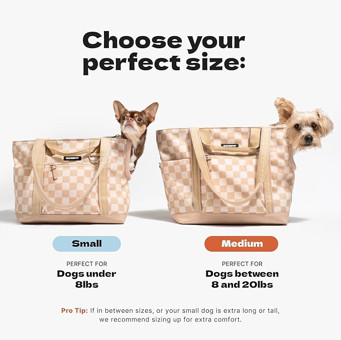 Transit Tote Dog Carrier for Small/Medium Dogs 8-20 lbs, 19x12x9 Soft-Sided 4-Pc Set with Waterproof Base, Plush Insert, Food Pouch, Mesh Head Opening - Medium, Graphite
