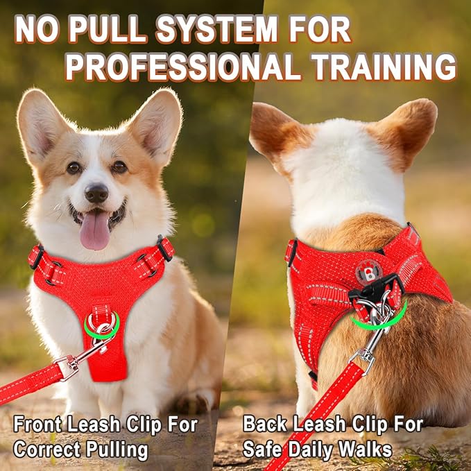 Dog Harness Step in Dog Vest Harness, Reflective Adjustable Puppy No Pull Harness Breathable Soft for Small and Medium Dogs Cats, Red, XXS