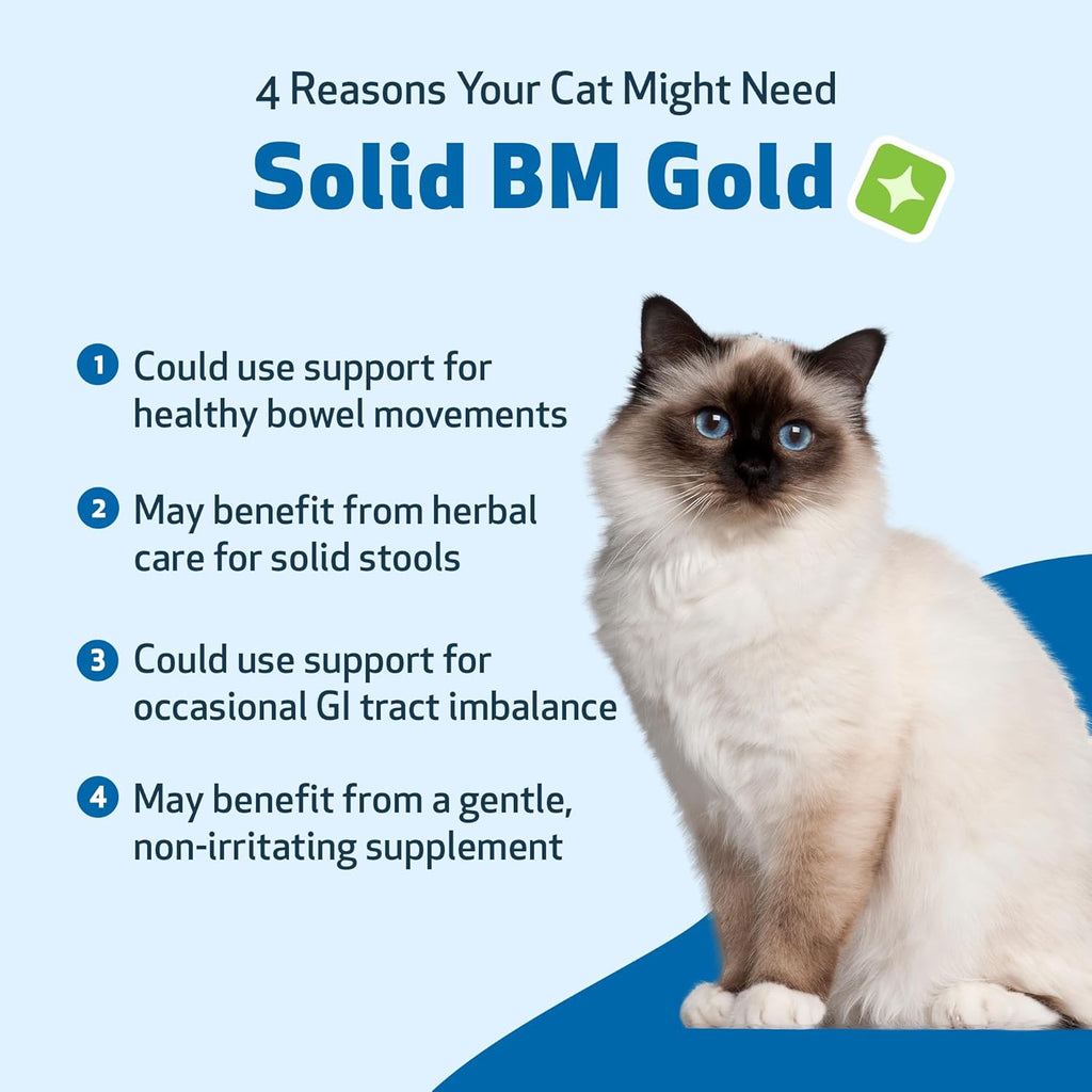 Pet Wellbeing BM Tone-Up Gold for Dogs & Cats - Supports Healthy Digestive Function, Solid Stools, Normal Bowel Movements, Bayberry - Veterinarian-Formulated Herbal Supplement 4 oz (118 ml)