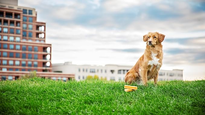 peaksNpaws Himalayan Dog Chews, High Protein Yak Cheese, Lactose Free, Natural Dog Treat, Long Lasting Chew Stick for Aggressive Chewers Under 35 lbs, 3 Medium Sticks, 100% Eco-Friendly Packaging