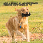 VANFINE Indestructible Squeaky Dog Toy – Tough Rubber Chew Toy for Aggressive Large Dogs, Durable and Safe for Interactive Play