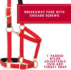 Weaver Equine Breakaway Horse Halter, Comfort Foam Padding, Adjustable Chin & Throat Snap Halters for Horses, Equine Tack,Average Size, Red