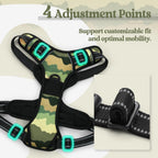 rabbitgoo Dog Harness No Pull with 2 Leash Clips, Adjustable Soft Padded, Reflective Oxford No Choke Pet Vest with Easy Control Handle for Large Dogs, Green Mountain,L