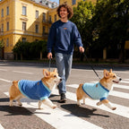 GreenJoy Classic Fleece Dog Sweater – Soft & Warm Stretchy Sweatshirt for Small Dogs & Cats, Cold-Weather Pullover for Everyday Wear (Dark Blue, Medium)