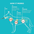 TRURANCH Collagen Sticks - 5" Collagen Sticks for Dogs - Long Lasting Healthy Joint Support Dog Treat - Rawhide Alternative - Skin & Coat Health - Made with Real Peanut Butter, 1 Bag, 15 Count