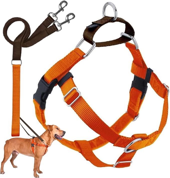 2 Hounds Design Freedom No Pull Dog Harness and Leash, 1" MD, Rust | Promotes Easy Walking & Comfortable Control, Secure Fit, Adjustable Harness and Leash Set for Medium Sized Dogs, Made in USA