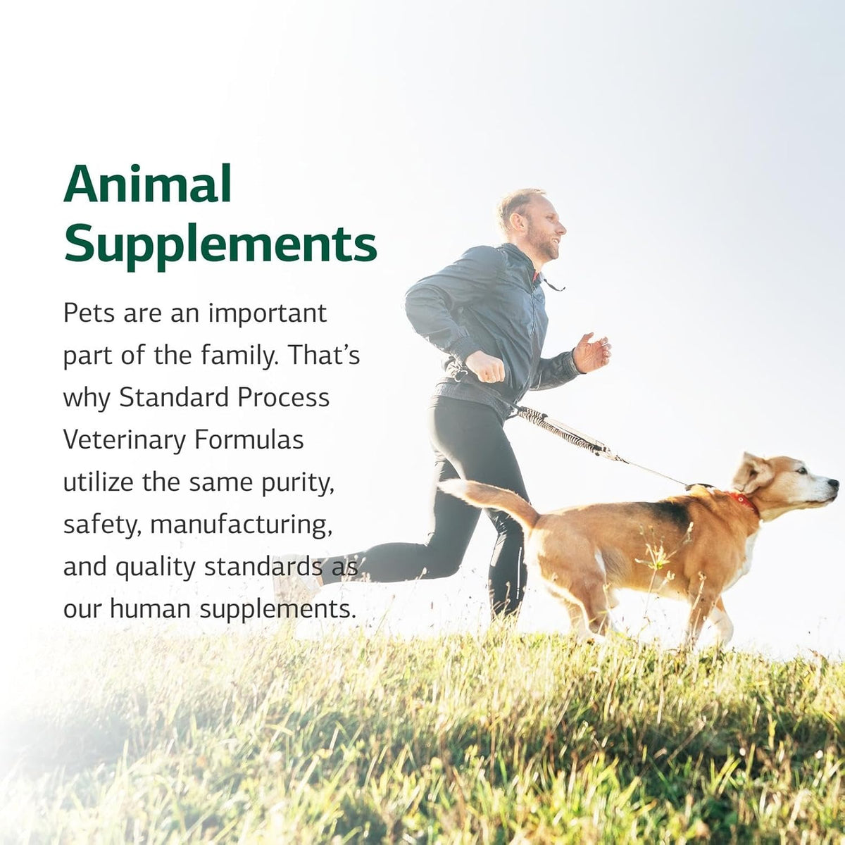Standard Process Inc. VF Thymex for Pets - Cat & Dog Immune System Support Supplement - Thymus Supplement to Aid Canine & Feline Immune Health - Supplement with Vitamin C - 90 Tablets