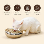Pebble Pet Bowl Flat Yellow, Ergonomic Dog Cat Feeding Bowl, Flat-Faced Breed, Tilted Ceramic Pet Food Dish, Scooper Eater, Anti-Spill Design, Dishwasher Safe, Modern Pet Bowl, Dry & Wet Diet