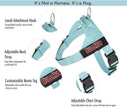 Adjustable Dog Harness– No Pull, No Choke – for English Bulldogs, French Bulldogs, Pugs & Broad-Chested Breeds – Easy, Safe Walks (Teal, Small)