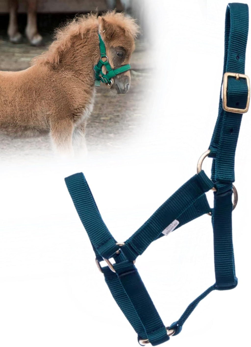 Jeffers Equine Mini Horse Halter – 3/4" Nylon Adjustable Halter for Miniature Horses, Ponies, Under 200 lbs – Heavy Duty Hardware, Secure Fit for Training, Turnout, Grooming, Travel – Dark Green