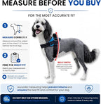 ShawnCo Essential Dog Harness, No-Pull Pet Vest (Rose Gold,L) | 3 Leash Clips, Easy On, No-Choke, Reflective, Adjustable Fit, Padded Comfort, Control Handle, For Small, Medium & Large Dogs