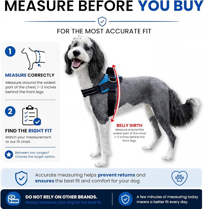 ShawnCo Essential Pro Dog Harness, No-Pull Pet Vest with 3 Leash Clips and Removable, Reflective Side Patches, Adjustable and Padded Harness for Small, Medium and Large Dogs (Orchid, XL)