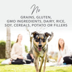 K9 Natural - Grain Free Freeze Dried Dog Food Topper - Lamb & Salmon, 3.5oz
