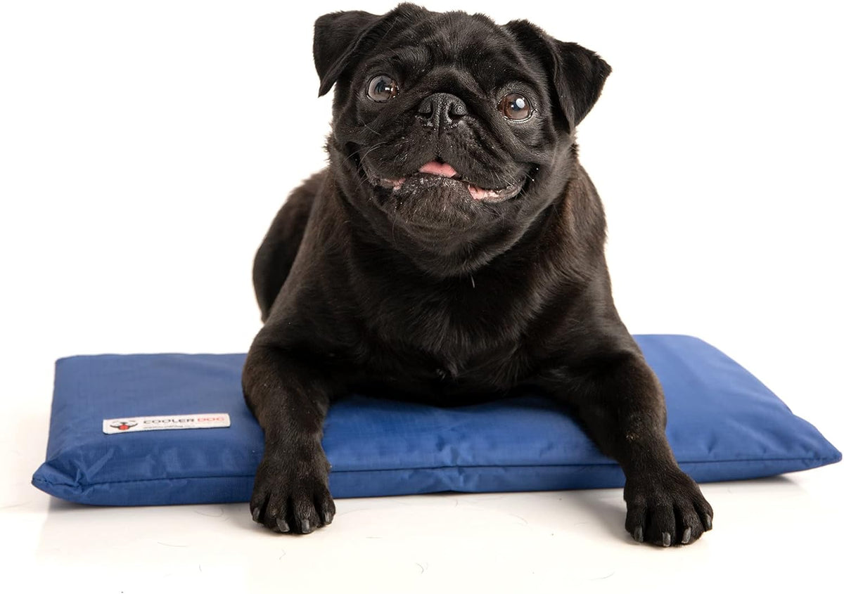 Dog Cooling Pad Dog Cooling Products Hydro Cooling Mat (18"x10.5") (Mini)